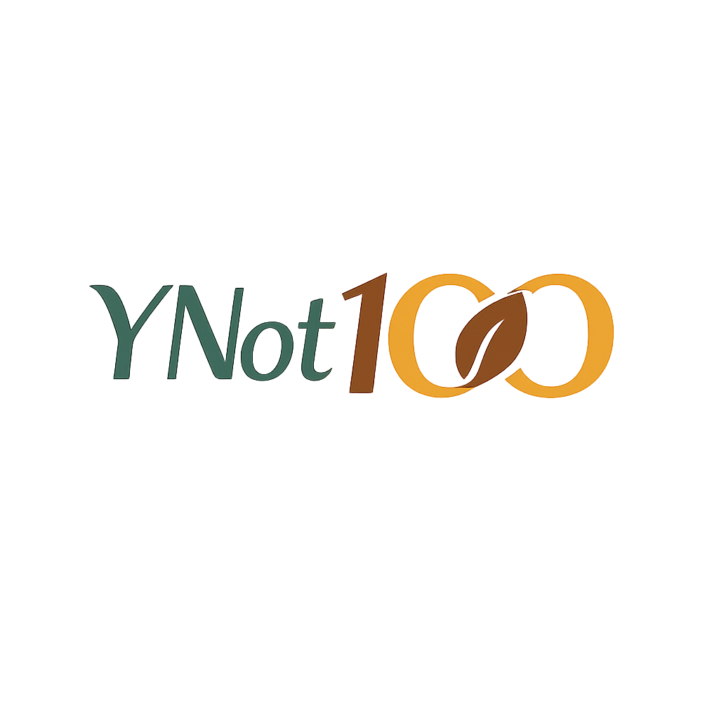 YNot100.com logo